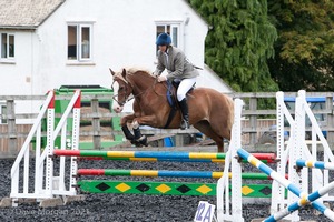 Class 7 - Fences 3' to 3'3